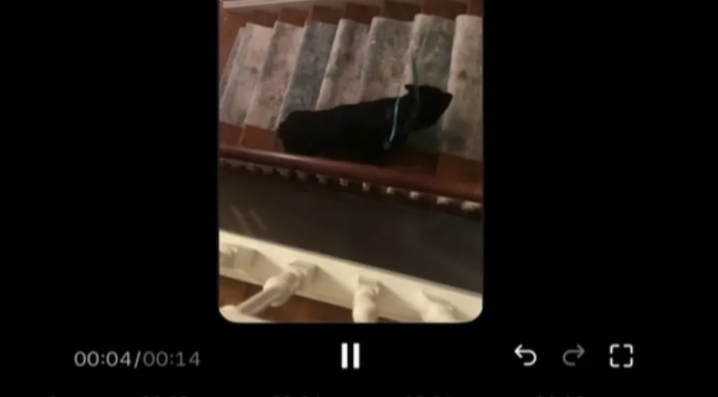 ¡De Terror! Rentó un Airbnb embrujado y graba su experiencia Mujer afirma que su Airbnb estaba “embrujado” y sus videos se vuelven virales en TikTok. Foto: captura TikTok