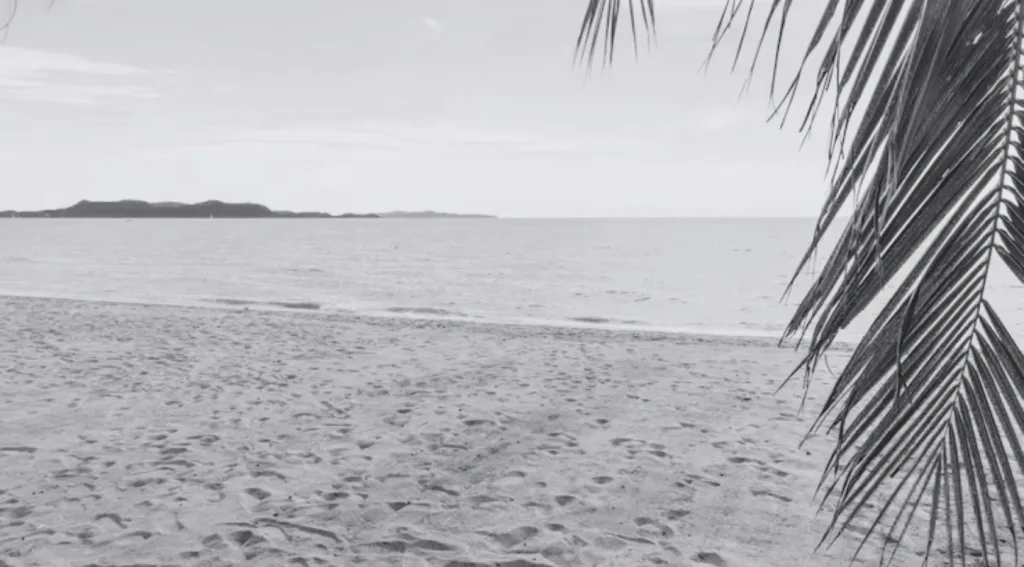 Hallan sin vida a influencer de 41 años en la playa Muere influencer de 41 años; hallan su cuerpo en la playa. Foto: Freepik