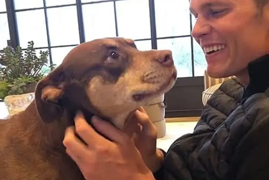 Tom Brady anuncia que clono a su perrita Lua