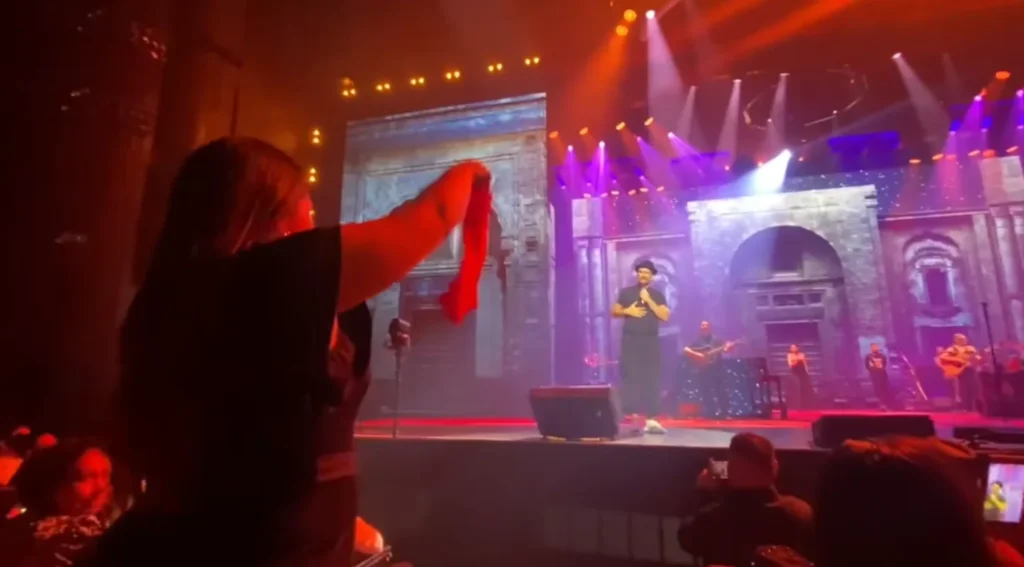 Fan sorprende a Arjona al lanzarle ropa interior durante su concierto. Foto: captura Tiktok