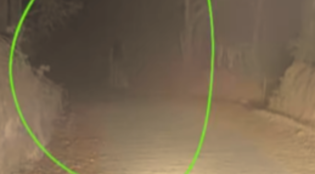 Reportan supuesta aparición de “La Llorona” en cañales guatemaltecos. Foto: captura video