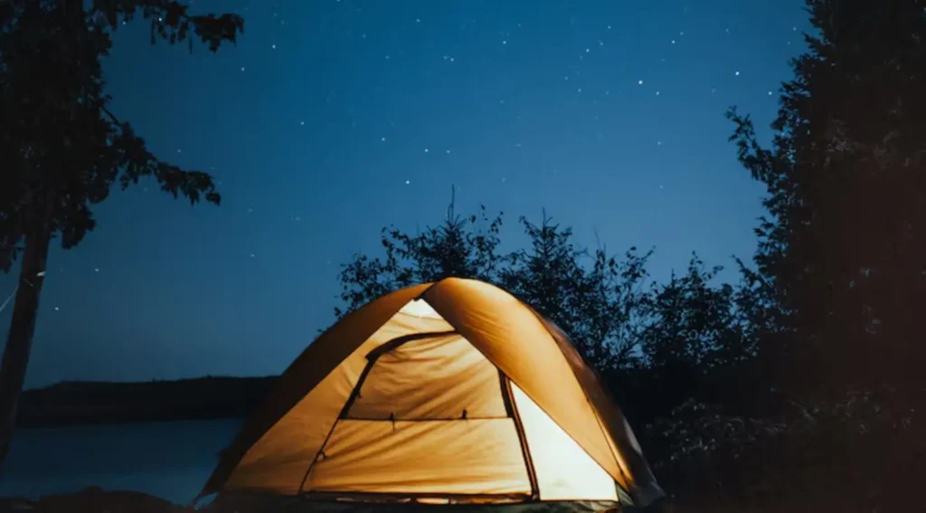 Dormir entre rugidos y estrellas: vuelve la Noche de Campamento en el Zoo 2026. Foto: Ilustrativa Freepik